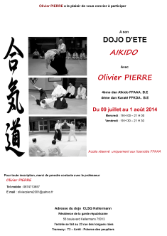 Affiche aikido dojo d'été 2014